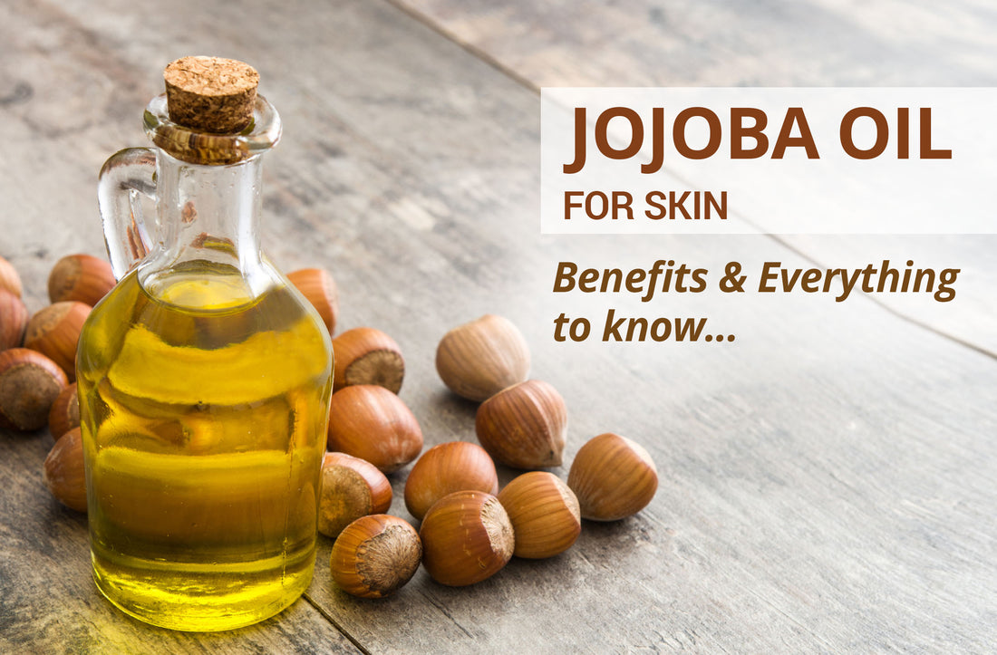 Jojoba Oil for Skin : Benefits & Everything to know