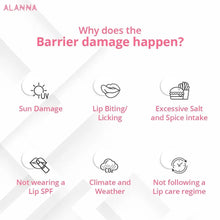 Reasons for  damage of lip barrier
